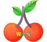  Winmi