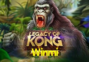  Winmi