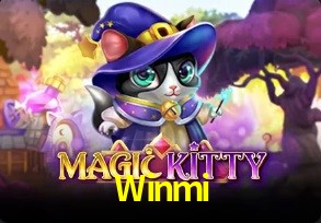  Winmi