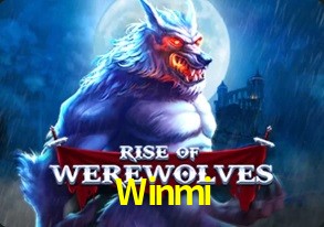  Winmi