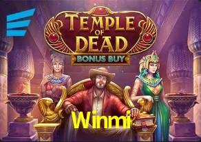  Winmi