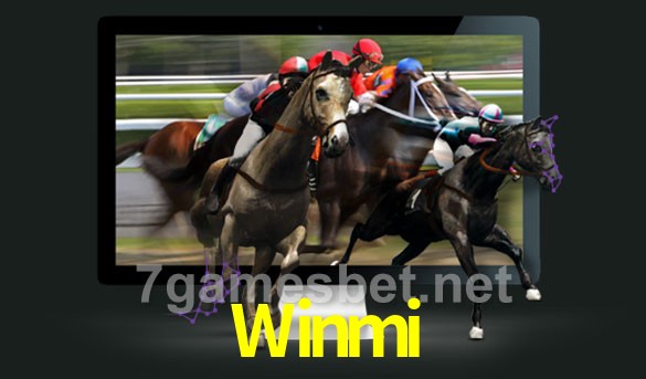  Winmi